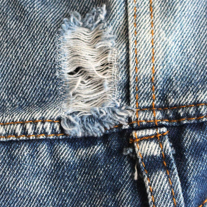 Dog Denim Jacket for Small Medium Dogs Spring Autumn Dog Clothes Classic Jeans Lapel Vest Chihuahua Yorkie Bulldog Pet Apparel