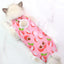 Cat Recovery Suit for Post Surgery Protection Anti-Licking Wound Kitten's Shirt Professional Cat Recovery Suit for After Spaying