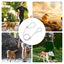 Dog Leashes Nylon Pet Leashes Heavy Duty Rope Leashes Mountain Climbing Rope Dog Leashes For Any Pets Playing Camping Beach Lake