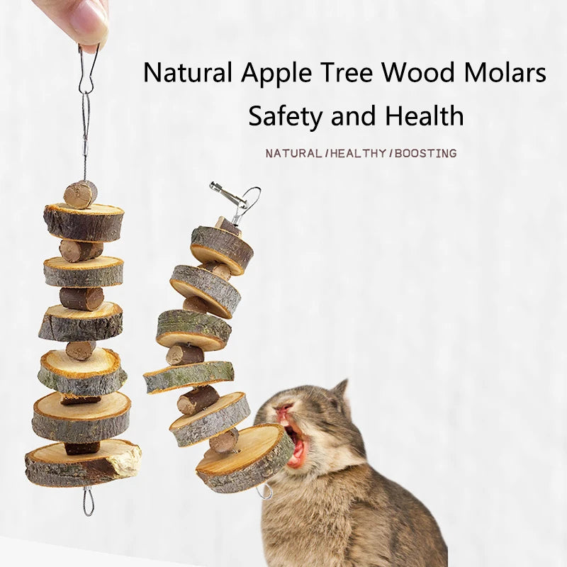 Natural Wooden Small Pet Toys Molar Chew Toy Hangable Apple Tree Wood Bite Toys For Hamster Rabbit guinea pig Toys Accessories