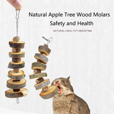 Natural Wooden Small Pet Toys Molar Chew Toy Hangable Apple Tree Wood Bite Toys For Hamster Rabbit guinea pig Toys Accessories