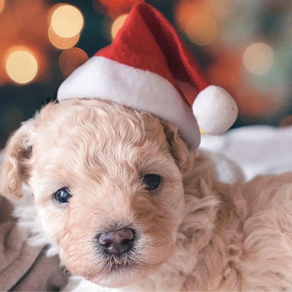 Dog Hats Christmas Santa Hat Small Dog Cat Christmas Hat Soft Small Animals Santa Claus Hat For Kitten Puppy Dogs Cats