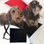 Reptile Heat Pad USB Dog Warming Heating Mat Waterproof Terrarium Heating Equipment 9.8x11.8 Inches Terrarium Pet Warmer Pad