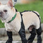 Dog Shoes Waterproof Adjustable Dog Boots Waterproof Breathable Pet Shoes Pets Paws Protector Outdoor Walking Soft Shoes