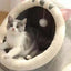 Cat Bed Warm Pet House Kitten Cave Cushion Cat House Round Cat Cushion Cat House 2 In 1 Warm Cats Basket Pet Sleep Bag