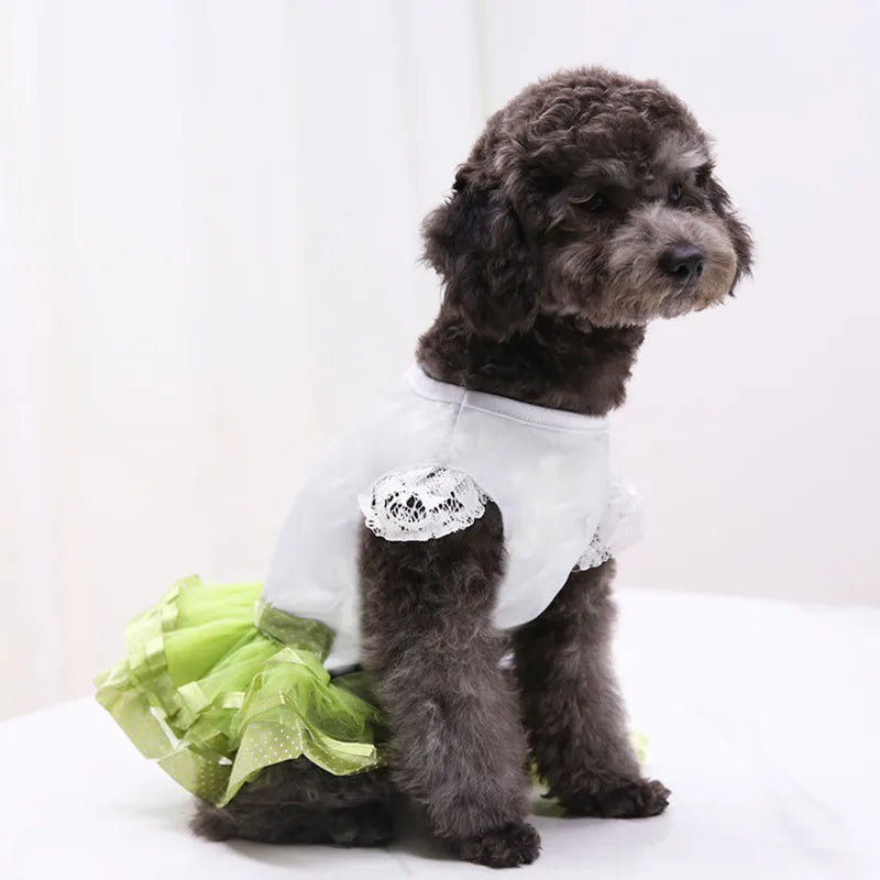 Cute Lace Princess Dog Tutu With Bow - Red, Yellow, Green