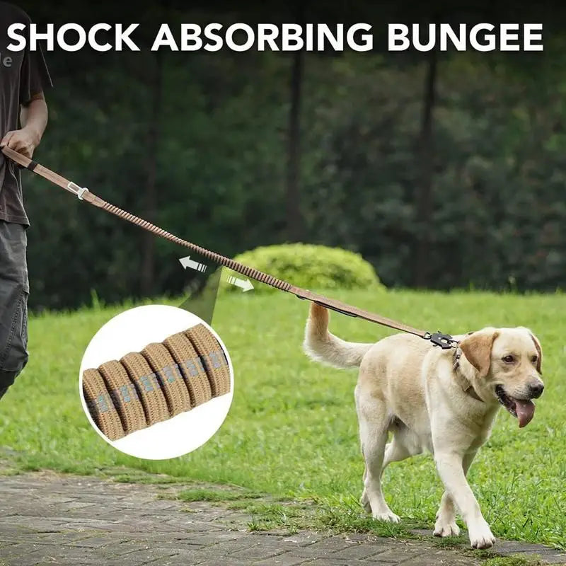Dog Leashes For Medium Dogs 4.5 Feet Long Dog Leashes For Puppy Shock-Absorbing House For Puppy Training Reflective Bungee Dog