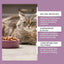 Mild Cats Supplement For Sneezing 80pcs Kitten Tears Care Tablets Respiratory Health Overall Body Nutritional Care Tablets