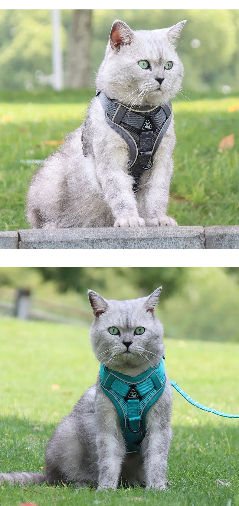 Dog Harness for Big Dog Vest Fashion Chest Strap Reflective and Breathable Cat Walking Rope Dog Rope Cat Harness
