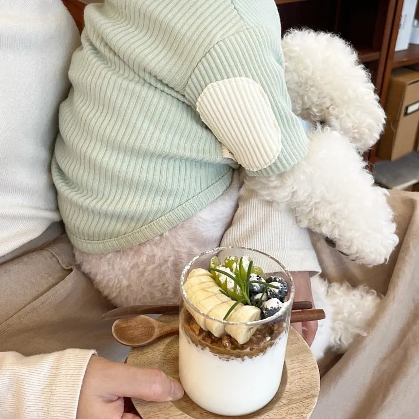 Fashion Pet Dog Bottoming Shirt Puppy Solid Color Clothes Winter Teddy Warm Two Legged Clothing Pet Poodle Pullover Dog Jackets