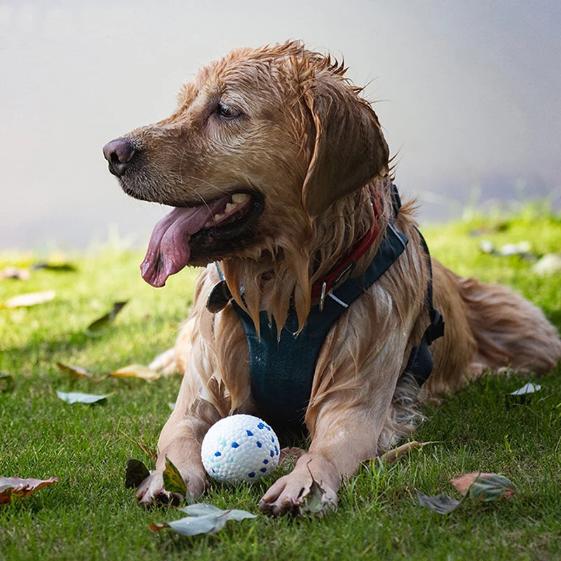 Bite Resistant Solid Dog Ball Toys for Small Large Dogs High Elasticity E-TPU Pet Chew Ball Toy Non Squeak Interactive Puppy Toy