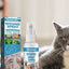 30ml Pets Anti-Itch Spray Pet Wound Spray Cats Dogs Skin Healthy Care Spray Pets Anti-Itch Treat Products For Sensitive Skin