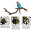 Parrot Perch 5PCS Natural Wooden Cockatiel Perch Exercise Training Branches Parrot Stand Cage Accessories For Small Or Medium
