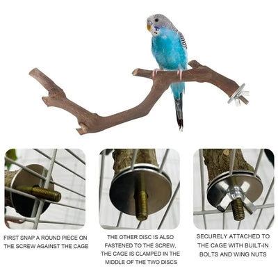 Parrot Perch 5PCS Natural Wooden Cockatiel Perch Exercise Training Branches Parrot Stand Cage Accessories For Small Or Medium