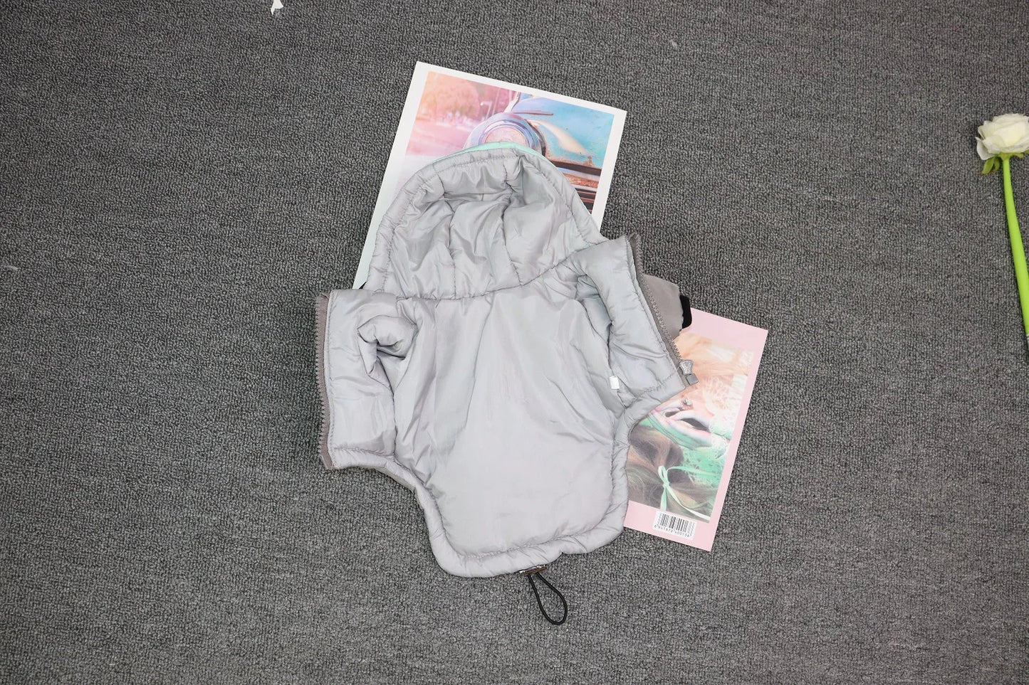 XS-2XL Dog Jacket Winter Waterproof 2022 Warm Pet Clothes for Small/Big Dogs French Bulldog Clothes Puppy Clothes Cute Chihuahua