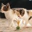Catnip Ball Feather Cat Toy Ball Feather Cat Tooth Cleaning Cat Toy Catnip Ball Interactive Chew Catnip Pet Supplies