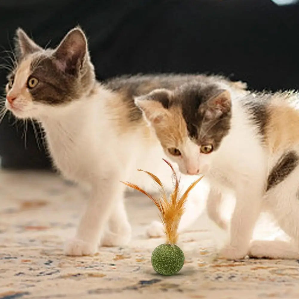 Catnip Ball Feather Cat Toy Ball Feather Cat Tooth Cleaning Cat Toy Catnip Ball Interactive Chew Catnip Pet Supplies