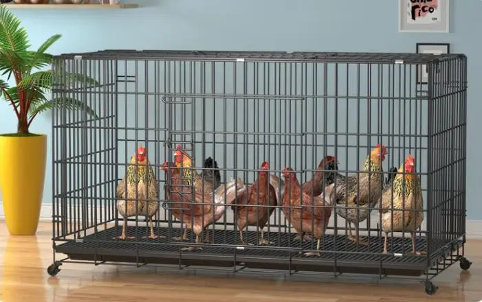 Chicken Coop Egg Laying Automatic Feces Clearing and Egg Rolling Chicken Cage Henhouse Folding Breeding Cage