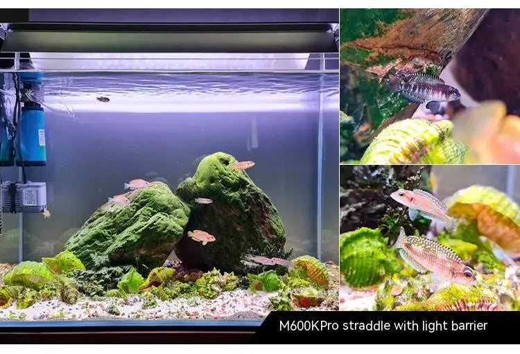 Aquarium Lighting APP Control WEEK AQUA M Series LED Full Spectrum Plant Grow Light with Cycle Timer Telescopic Fish Tank Light