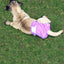 Female Dog Diapers Washable Pet Underwear for Girl Puppies Large Dogs Panties Sanitary Physiological Pants for Dogs Pet Supplies