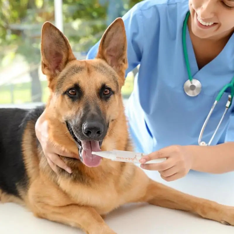Pet Teeth Cleaning Pen Cat/Dog Tooth Whiten Pen Pet Grooming Toothbrush Cleaning Kit Fresh Breath Soft Bristles Pet Toothbrushes