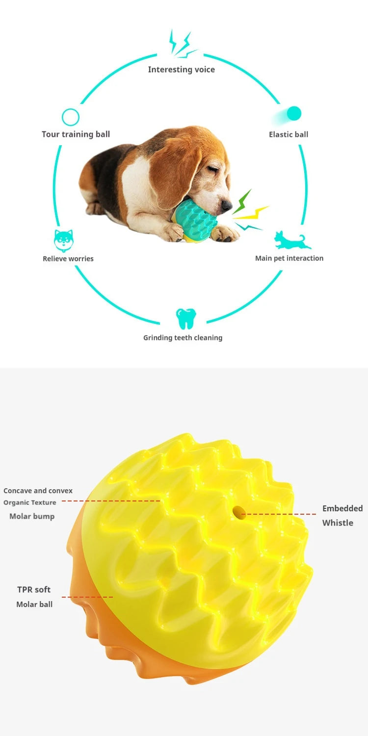 Pet toy ball chews, cleans teeth, is resistant to biting, cat toy chews, emits sound, elastic dog toy ball