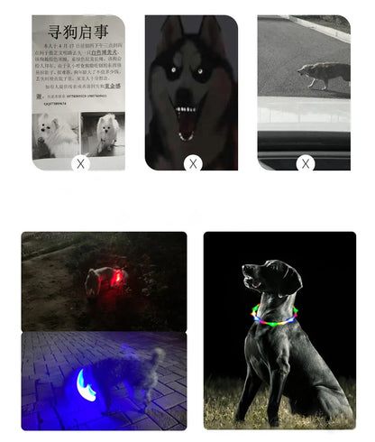 4 Modes Dog Luminou Charge Collar Led Usb Cat Silicone Colorful Collar Detachable Night Glow Pet Loss Prevention Dog Accessories