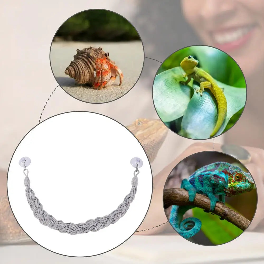 Hermit Crab Toys Hermit Crab Toys Reptile Tank Terrarium Accessories Reptile Tank Terrarium Accessories Hermit Crab Climbing