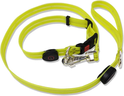 Led Light Up Dog Leash Walking Safety Glow in The Dark USB Rechargeable Adjustable for Large Medium Small Pet Lighted Dog Collar