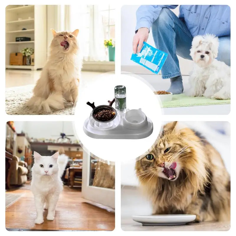 Gravity Cat Feeder And Water Dispenser Set 15Tilted Pets Water And Food Bowl Set Curved Bowl Mouth Raised Cat Bowls Pet Food