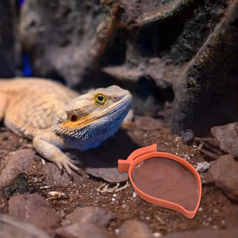 Mango Shape Reptile Water Dishes And Food Bowls For Turtle Tortoises Lizard For Pets Reptile Snakes Geckos Lizards Spiders