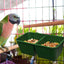 Bird Feeder For Cage 2 In 1 Parrot Cage Food And Water Bowl Double Groove Bird Food Bowl For Cage For Hold Food Water Universal