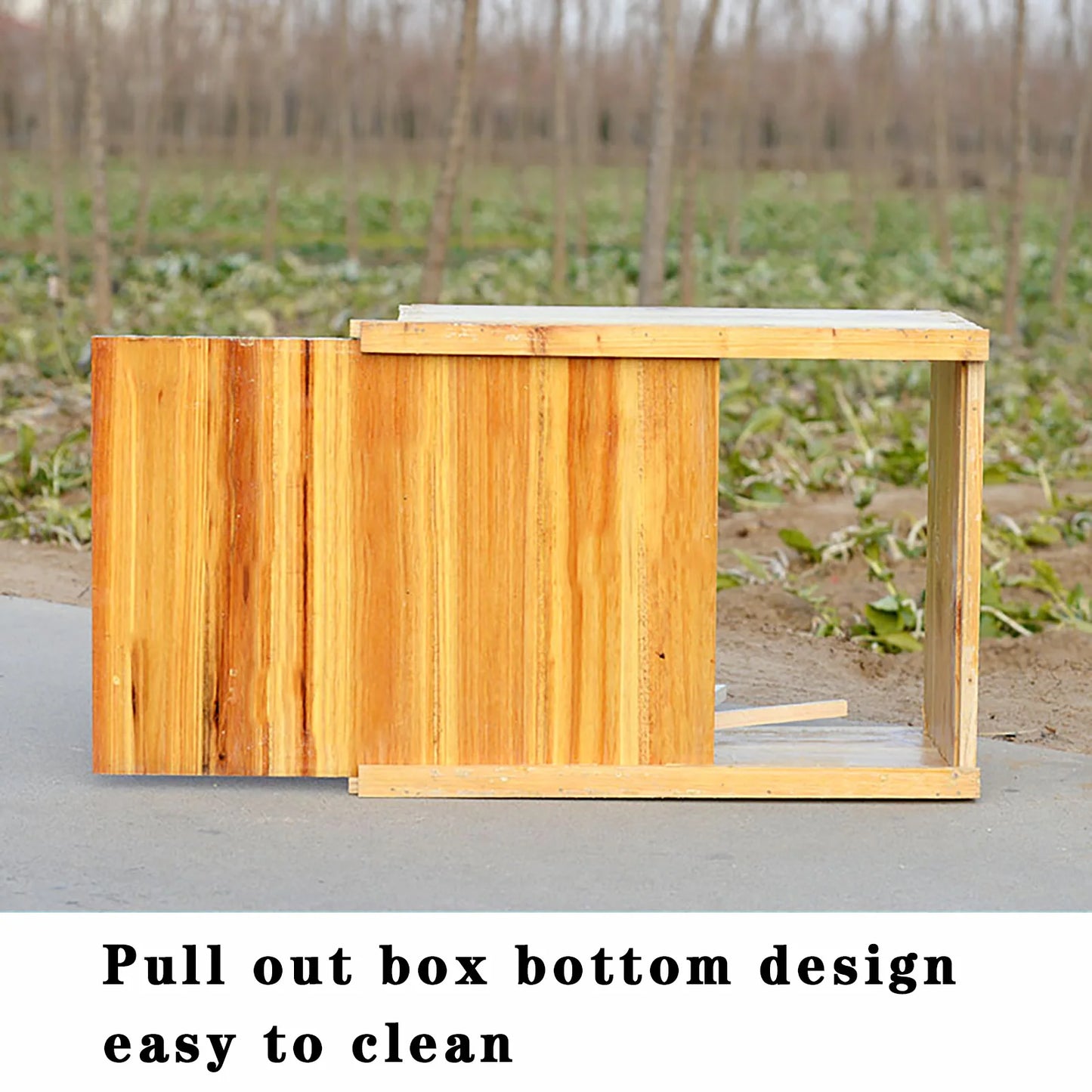 10 Frame Bee Hive, Complete Beehive Kit Beeswax Coated Beehive Include Frames, Bee Hive Boxes Starter Kit for Bee Keekeepers