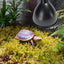 Reptile Heat Lamp Fixture Deep Dome Lampshade Optical Reflection Cover Terrarium Light Fixture for UVB Light Bulb Basking Bulb