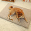 Pets Dogs Accessories Dog Bad Medium Bed Pet Products Big Mat Sofa Cushion Supplies Cushions Puppy Small Baskets Large Beds Cats