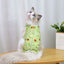 Cat Recovery Suit for Post Surgery Protection Anti-Licking Wound Kitten's Shirt Professional Cat Recovery Suit for After Spaying