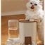 New Type of Pet Cat Large Water Dispenser Automatic Water Feeder Food Container Water and Grain Integrated Dry Wet Separation