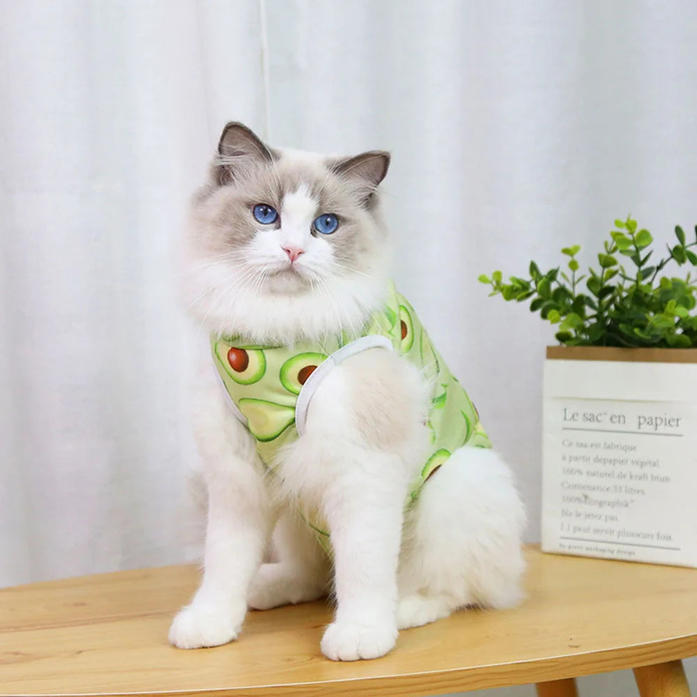 Cat Recovery Suit for Post Surgery Protection Anti-Licking Wound Kitten's Shirt Professional Cat Recovery Suit for After Spaying