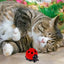 Cat Catnip Ball Toy Wall Mounted Ladybug Shape Kitten Chew Toy Edible Toy Ball With Catnip Cat Teething Toys For Indoor Outdoor