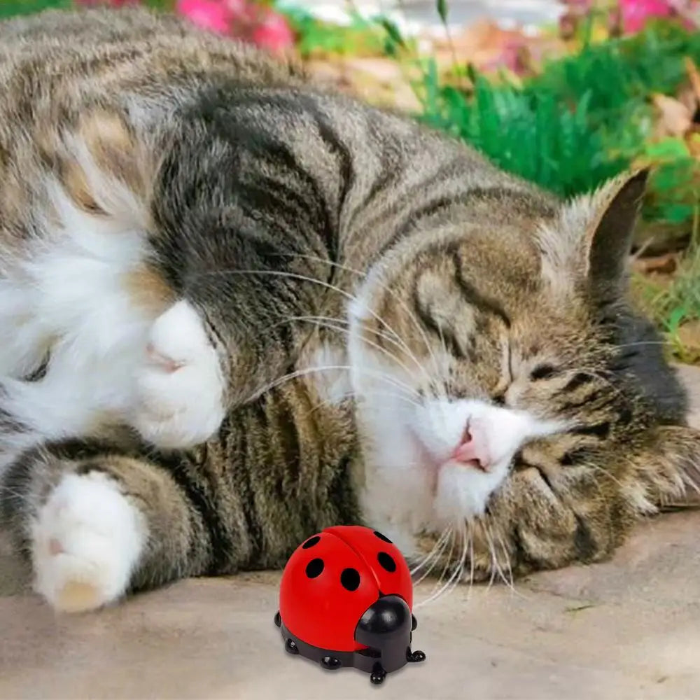 Cat Catnip Ball Toy Wall Mounted Ladybug Shape Kitten Chew Toy Edible Toy Ball With Catnip Cat Teething Toys For Indoor Outdoor