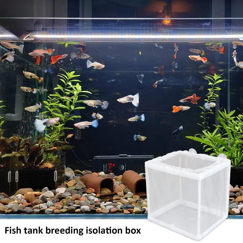 Fish Breeder Box with Suction, Aquarium Hatcher, Mesh Box, Juvenile Fish Separation Net, Tank Incubator Box, Fry Hatchery, DIY