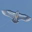 NEW Arrive Outdoor Fun Sports  59 Inch Eagle Kite With Handle And Line For Kids Or Adults Good Flying