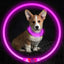 Luminous Dog Collar Light Charge Cat Necklace, Led Fashion Flashing DIY Glowing Safety Collar for Dogs Nighttime Pet Accessorie