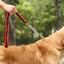 1Pcs 50cm Length Super Strong Nylon Dog Leash Dog Collar Leads For Medium Large Dogs with Spring Anti Pull Leashes Pet Supplies