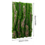 Reptile Cork Terrarium Background Lizard Habitat Decorations Bark Backdrop Reptile Habitat Decor With Artificial Moss for Gecko