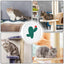 Scratching Pad For Indoor Cats Scratching Mat Corrugated Paper Wall Scratchers Pet Supplies Panda Cactus Football Ghost Pattern