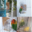 Bird Feeder Automatic Parrot Feeder Beverage Acrylic Seed Food Container Small And Medium-Sized Parrot Cage Accessories