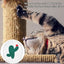 Scratching Pad For Indoor Cats Scratching Mat Corrugated Paper Wall Scratchers Pet Supplies Panda Cactus Football Ghost Pattern