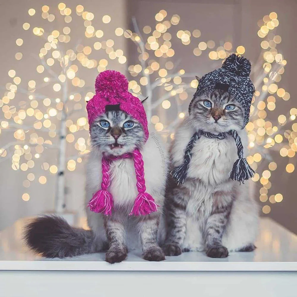 Winter Soft Dog Hat Warm Pet Dog Knitted Hat with Ear Holes Windproof Knitting French Bulldog Hat for Puppy Small Medium Dog Cap