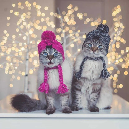 Winter Soft Dog Hat Warm Pet Dog Knitted Hat with Ear Holes Windproof Knitting French Bulldog Hat for Puppy Small Medium Dog Cap